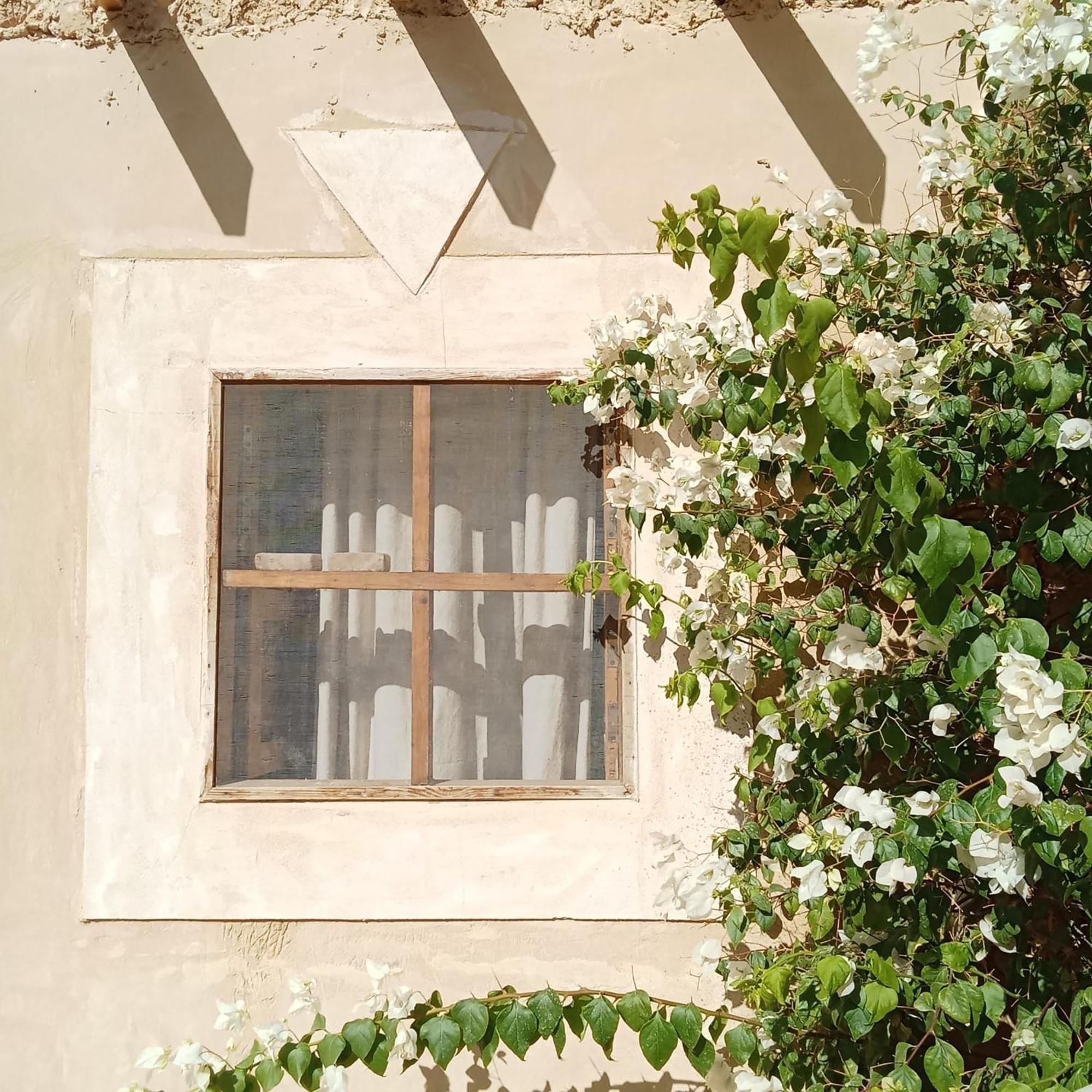 Tanirt Ecolodge Siwa Oasis Eksteriør billede