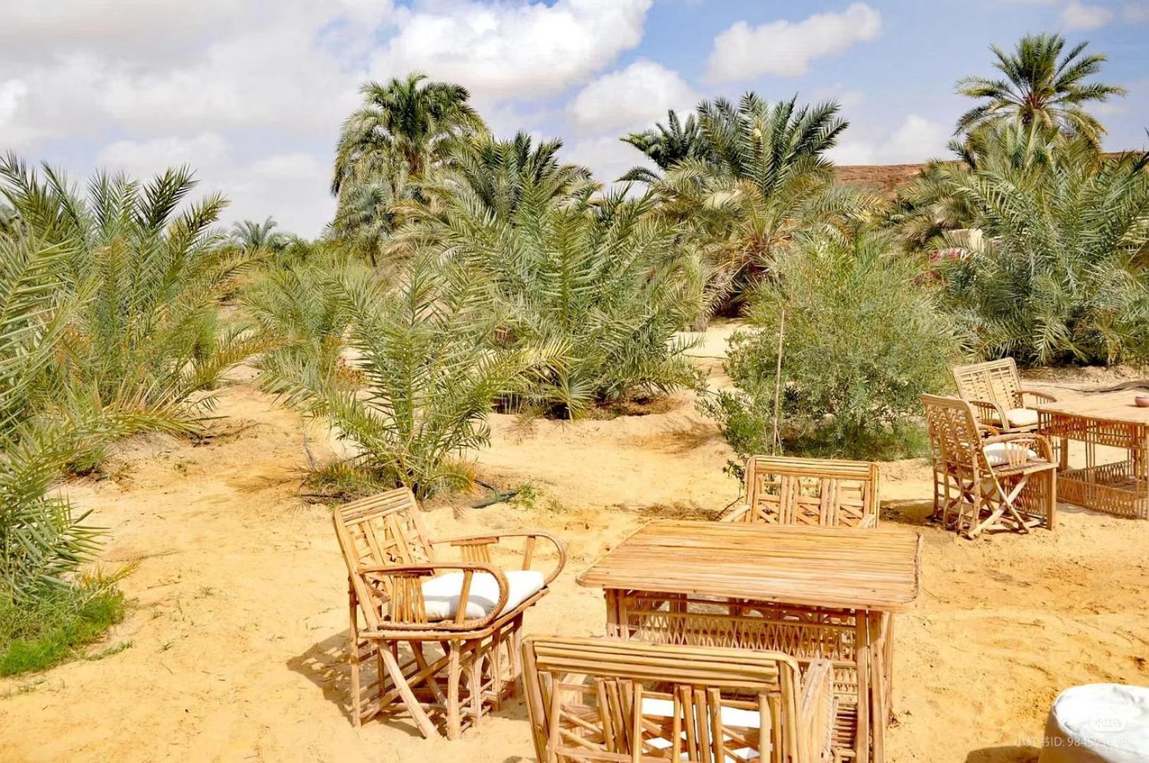 Tanirt Ecolodge Siwa Oasis Eksteriør billede