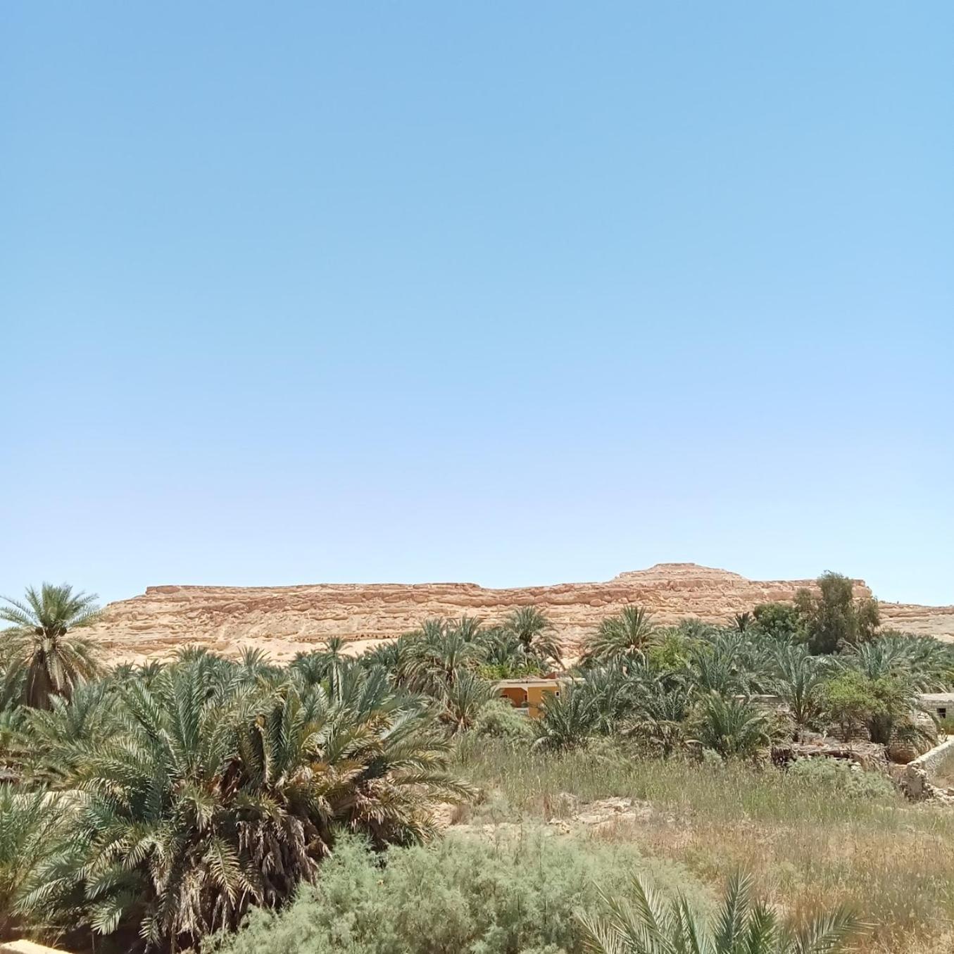 Tanirt Ecolodge Siwa Oasis Eksteriør billede