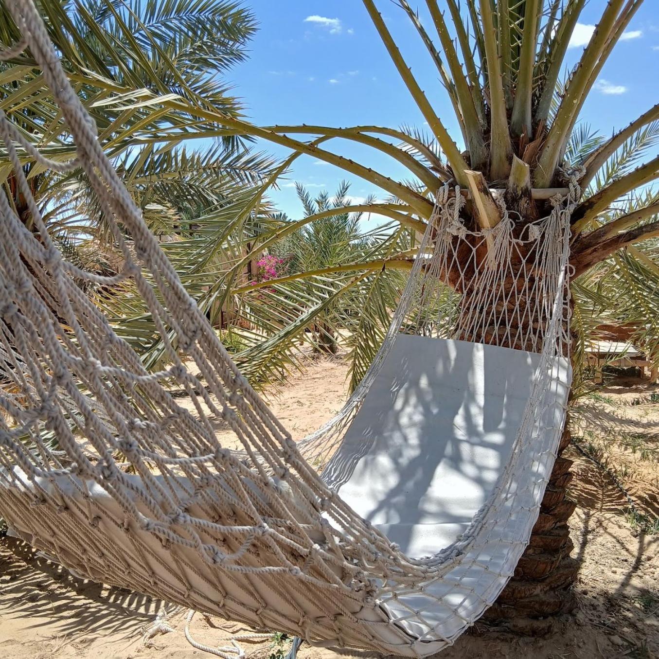 Tanirt Ecolodge Siwa Oasis Eksteriør billede